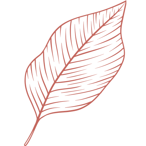 Site Icon